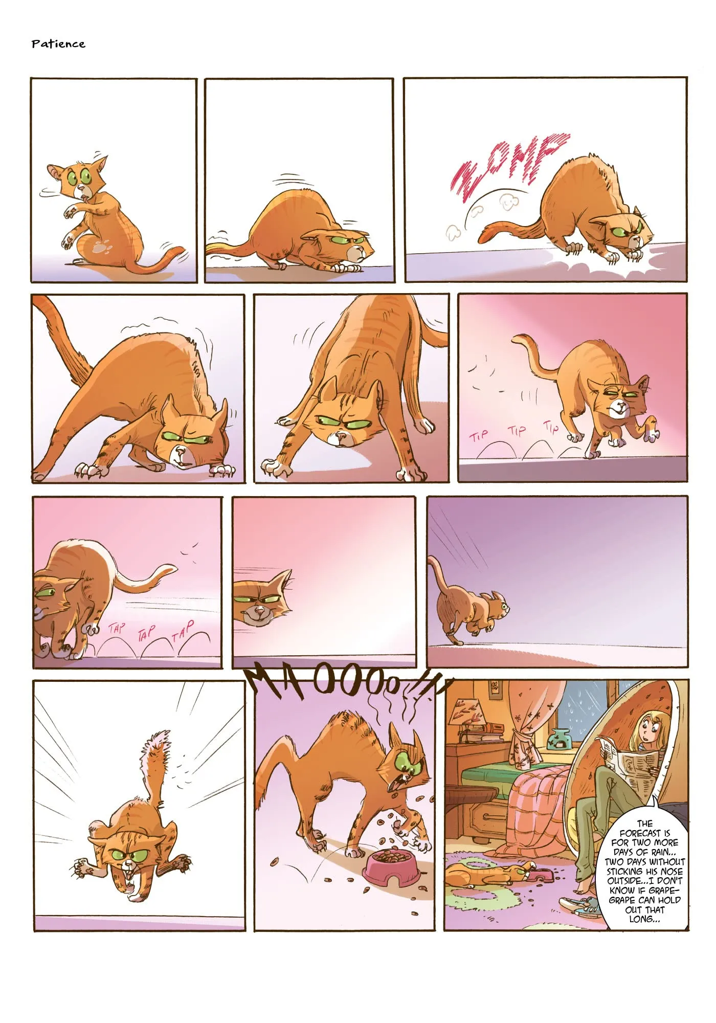 Cats! Girlfriends and Catfriends