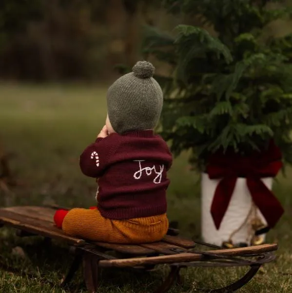 Holiday Goose cardigan - Grape