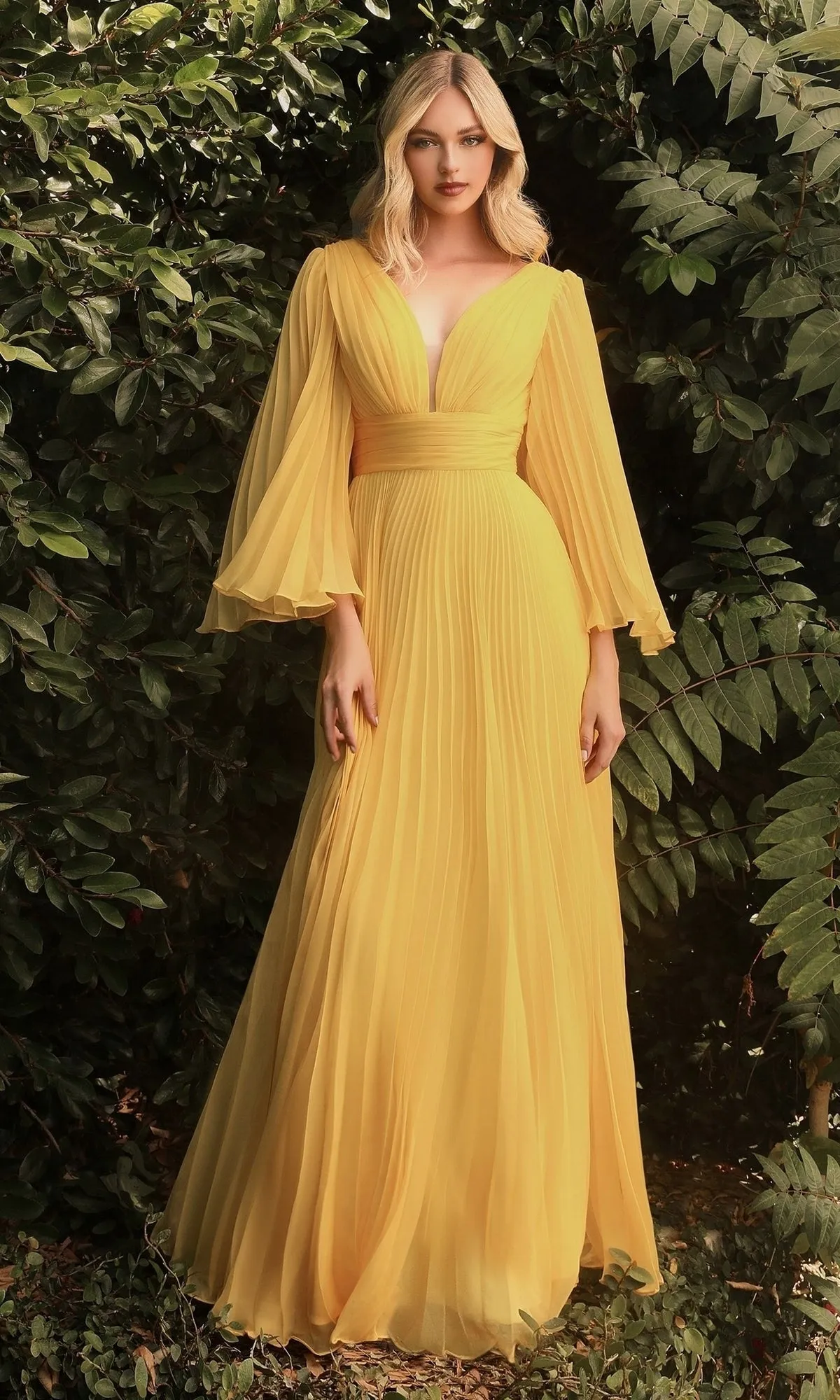 Ladivine Long Formal Dress cd242