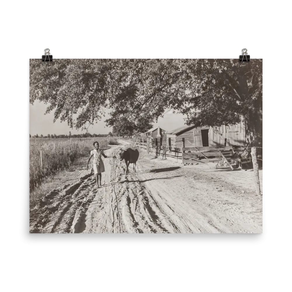 MS - Vintage Photo of Tenant Farmer's Daughter and Cow, Belzoni, Mississippi, 1939