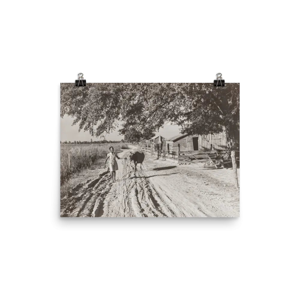 MS - Vintage Photo of Tenant Farmer's Daughter and Cow, Belzoni, Mississippi, 1939
