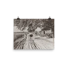 MS - Vintage Photo of Tenant Farmer's Daughter and Cow, Belzoni, Mississippi, 1939